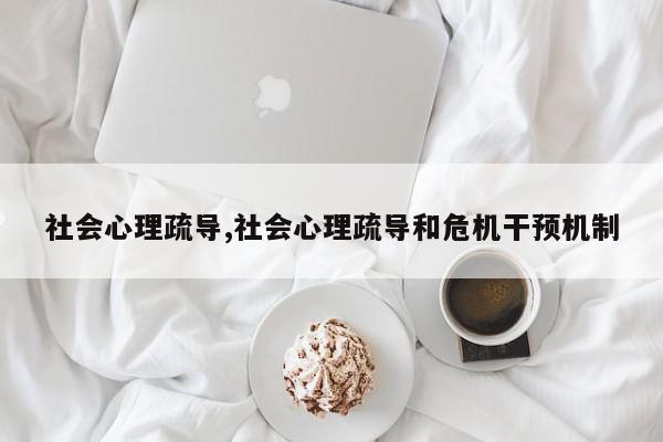 社会心理疏导,社会心理疏导和危机干预机制